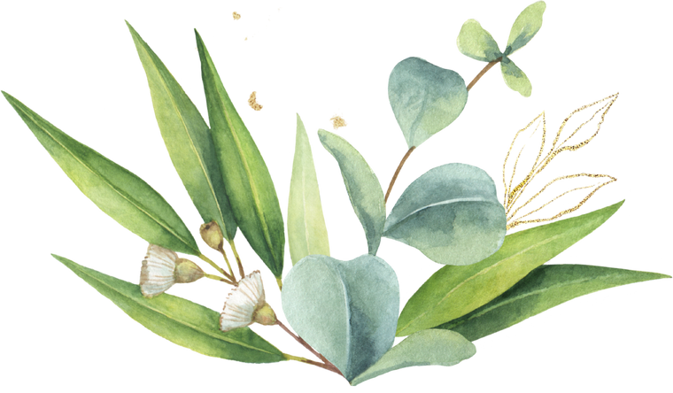 Watercolor Eucalyptus Bouquet. Flower Illustration